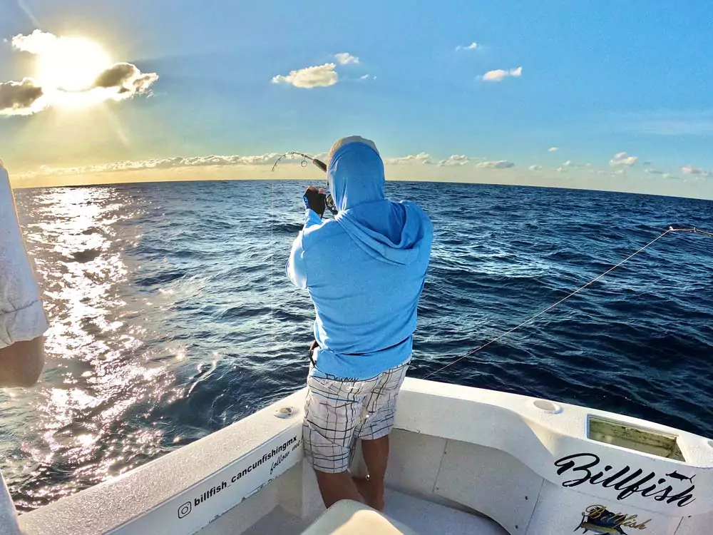 billfish fishing season and report
