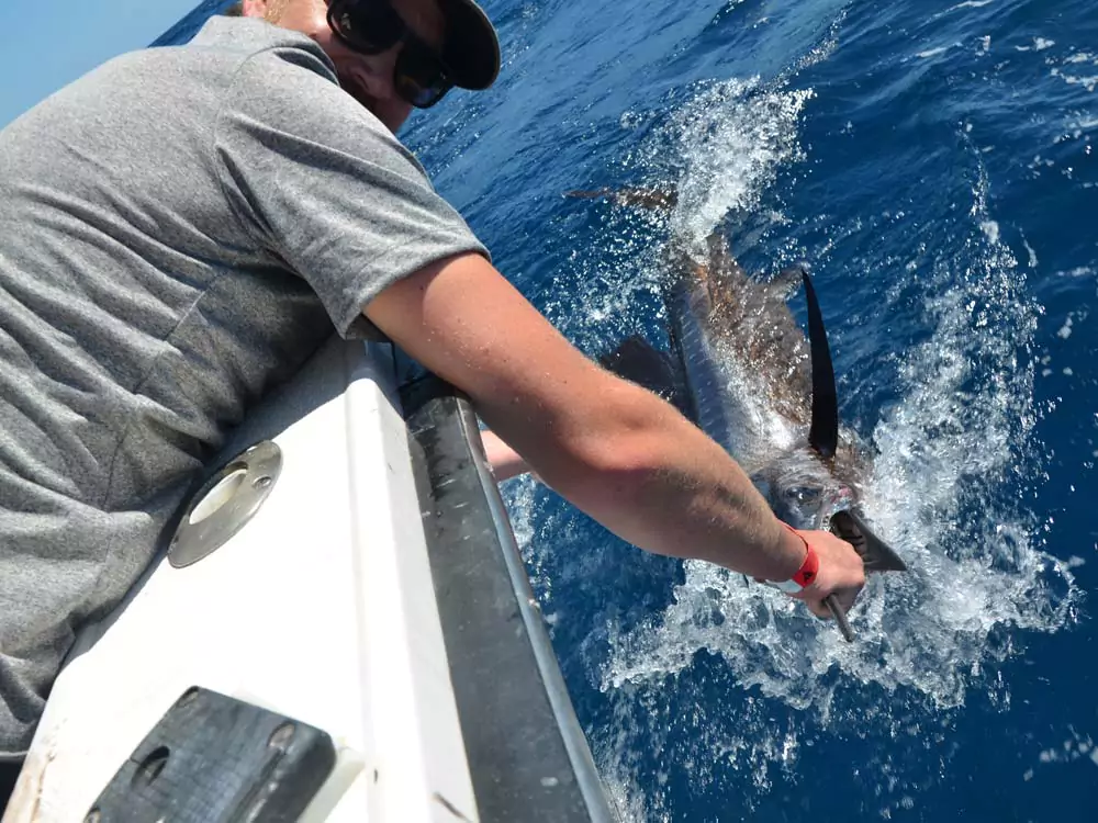 Grand Slam - fishing season report cancun 