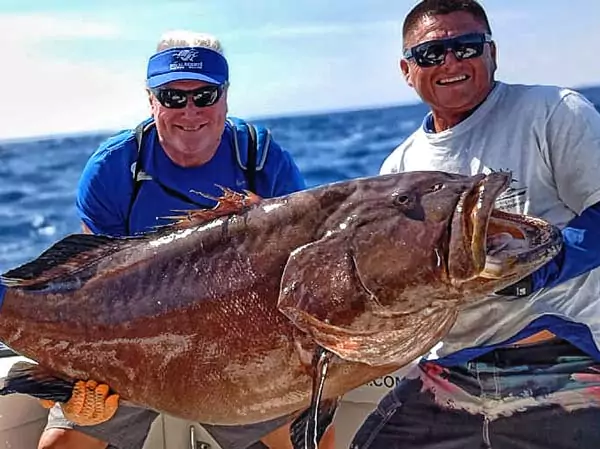 Grouper sportfishing reports cancun | grouper fishing cancun