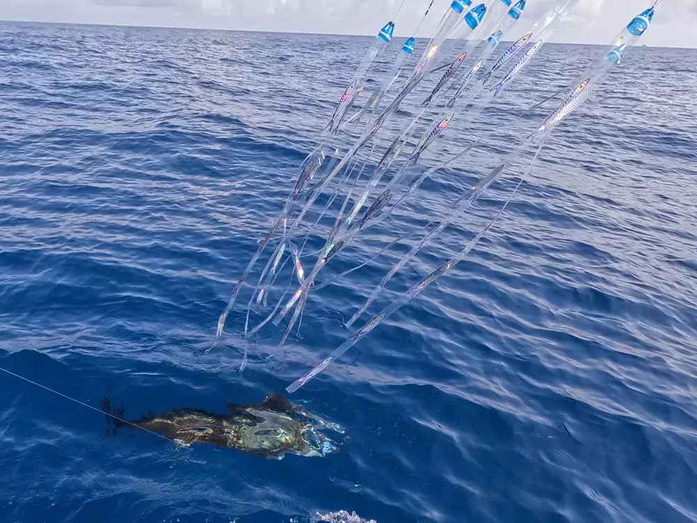 cancun fishing report showtime